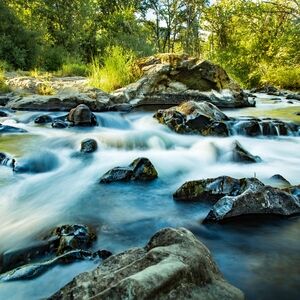 Serene River Flow Art Print